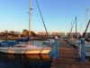 Billede 19