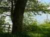 Image 13