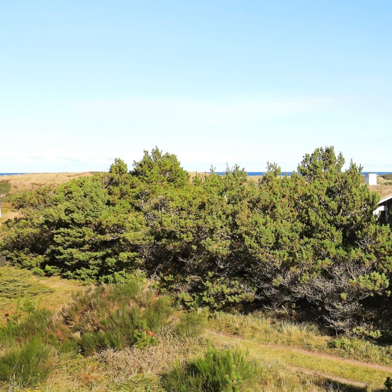 Sommerhus - 8 personer -  - Redningsvejen - Slettestrand - 9690 - Fjerritslev