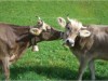 Bild 23