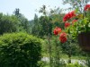 Bild 14 - Ude