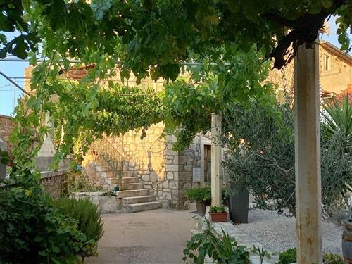 Holiday apartment - 4 persons -  - Kala - 21410 - Postira