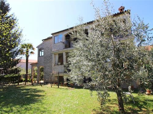 Holiday Home/Apartment - 3 persons -  - Motovunska - 52440 - Porec