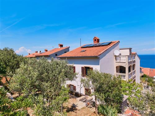 Ferielejlighed - 4 personer -  - Josipa Antuna Kraljica - 51550 - Mali Losinj