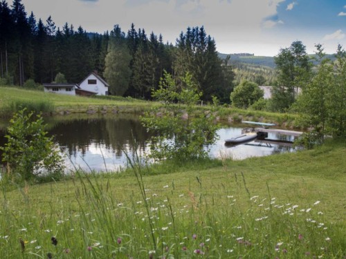 Ferieleilighet - 4 personer -  - Fischbach - 3972 - Bad Großpertholz