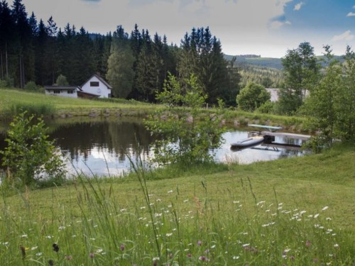 Semesterlägenhet - 4 personer -  - Fischbach - 3972 - Bad Großpertholz