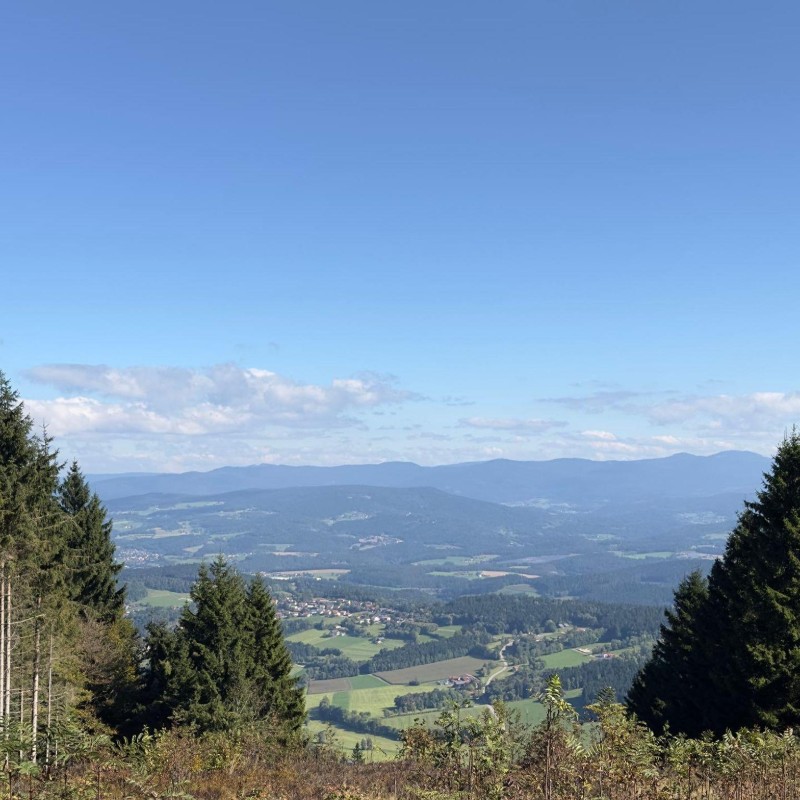 Ferielejlighed - 3 personer -  - Am Predigtstuhl - 94379 - Sankt Englmar