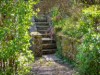 Image 29