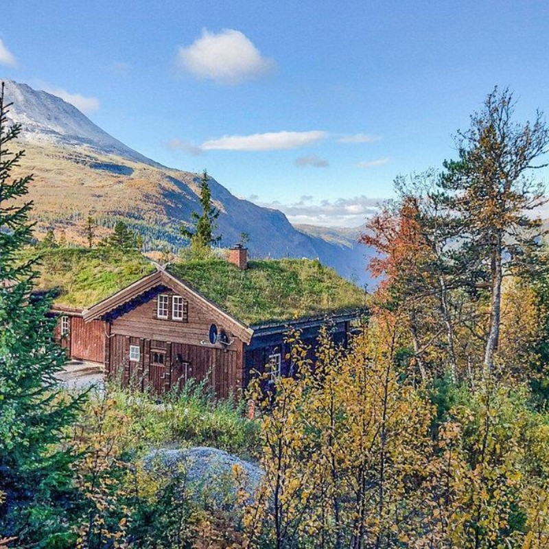 Sommerhus - 8 personer -  - Brendstaul Nordvegen - Gaustablikk - 3660 - Rjukan
