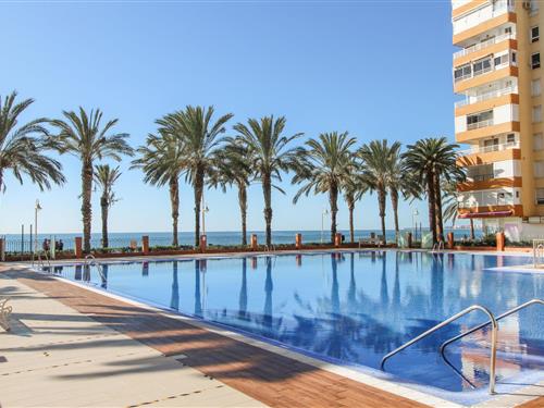Holiday apartment - 2 persons -  - Av Torre Ladeada. Urb Centro I - Algarrobo Costa - 29750 - Algarrobo-Costa