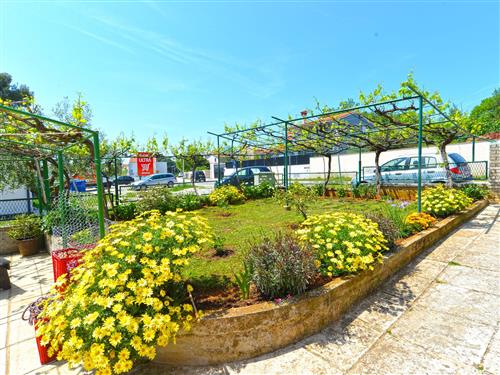 Holiday apartment - 4 persons -  - Pula/Banjole - 52100