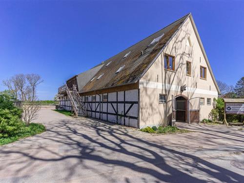 Ferielejlighed - 4 personer -  - Ranzower Weg - 18551 - Lohme