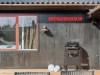 Bild 22