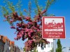 Bild 17