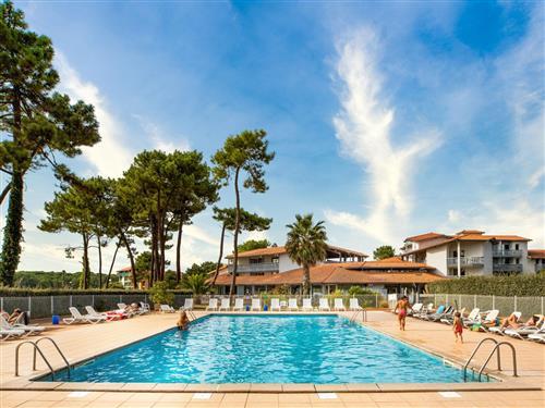 Holiday apartment - 2 persons -  - Soustons - 40140