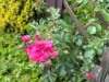 Billede 8