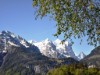 Bilde 4