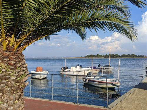 Ferieleilighet - 4 personer -  - Aveiro - 3800-901