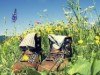 Bild 17