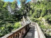 Image 33