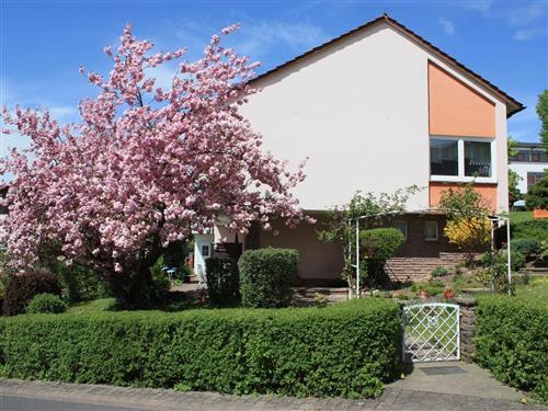 Ferieleilighet - 2 personer -  - Stielerstr. - 36115 - Hilders