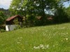 Bilde 23 - Ude