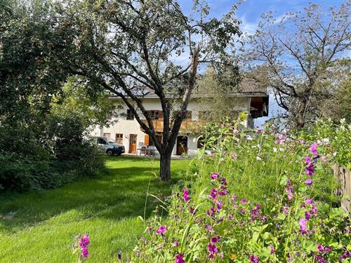 Bondegård - 4 personer -  - Honau - 83119 - Obing