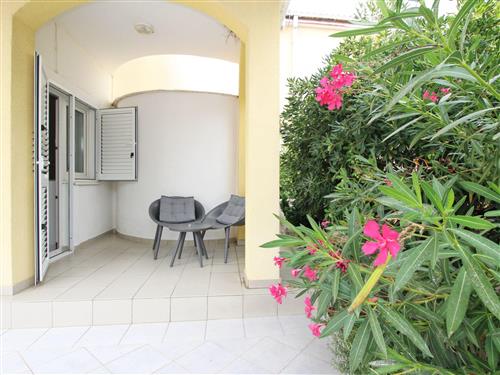 Holiday apartment - 2 persons -  - Krk/Baška - 51523