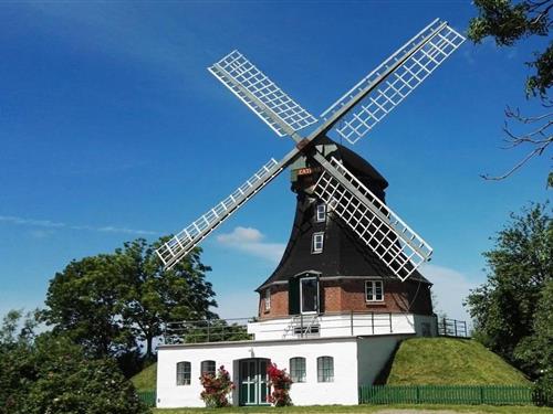 Sommerhus - 8 personer -  - 25870 - Oldenswort