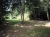 Image 23