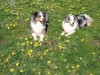 Bild 22