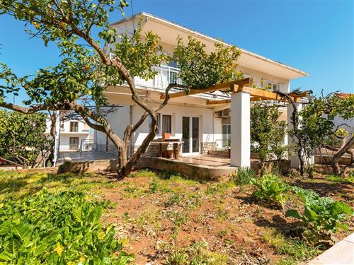 Ferielejlighed - 6 personer -  - Jelsa - 21465 - Jelsa