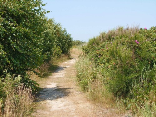 Sommerhus - 6 personer -  - Fjand Strand - Fjand - 6990 - Ulfborg