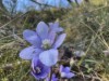 Bild 44