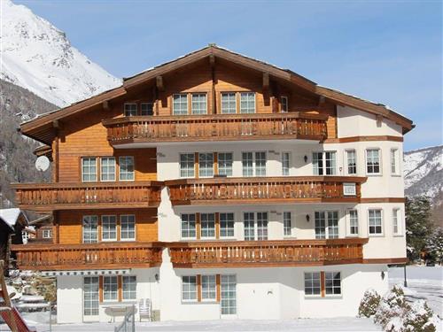 Holiday Home/Apartment - 2 persons -  - Bodmenstrasse - 3910 - Saas-Grund