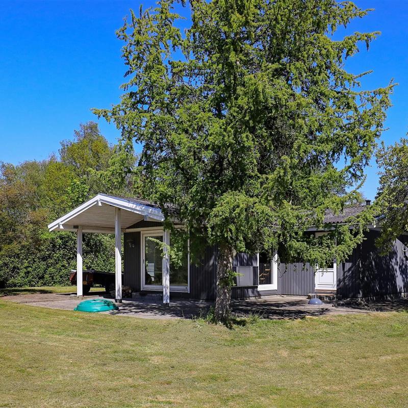 Ferienhaus - 8 Personen -  - Ranunkelvej - Stoense - 5953 - Tranekär