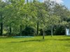 Bild 18