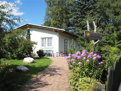 Sommerhus - 4 personer -  - 08645 - Bad Elster-Sohl