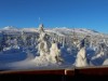 Bild 17