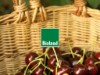 Billede 9