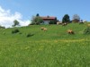 Bild 24