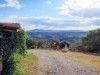 Image 21 - Outside