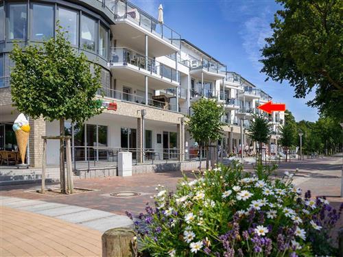 Ferieleilighet - 4 personer -  - Strandallee - 23730 - Pelzerhaken