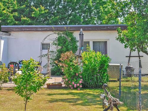 Ferienhaus - 3 Personen -  - Dorfstr. - Ostseebad Breege Ot Juliusruh - 18556 - Ostseebad Breege Ot Ju