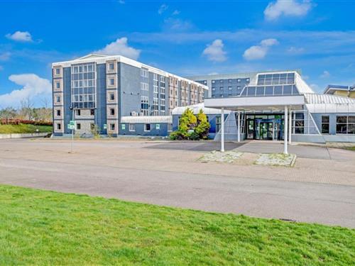 Ferielejlighed - 3 personer -  - AB238AJ - Newburgh