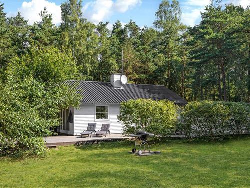 Holiday home - 6 persons -  - Fasanvej - Dueodde - 3730 - Nexø