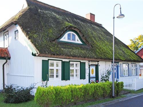 Feriehus - 5 personer -  - Buchenstraße - 18375 - Prerow