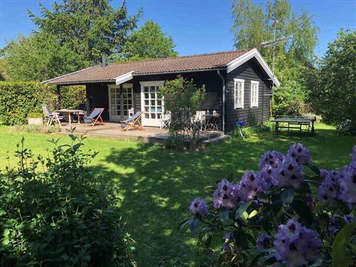 Ferienhaus - 4 Personen -  - Fasanvej - 3120 - Dronningmölle