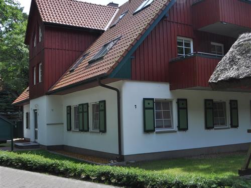 Semesterlägenhet - 2 personer -  - Bernsteinweg - 18375 - Prerow