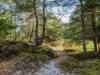 Bild 23 - Område